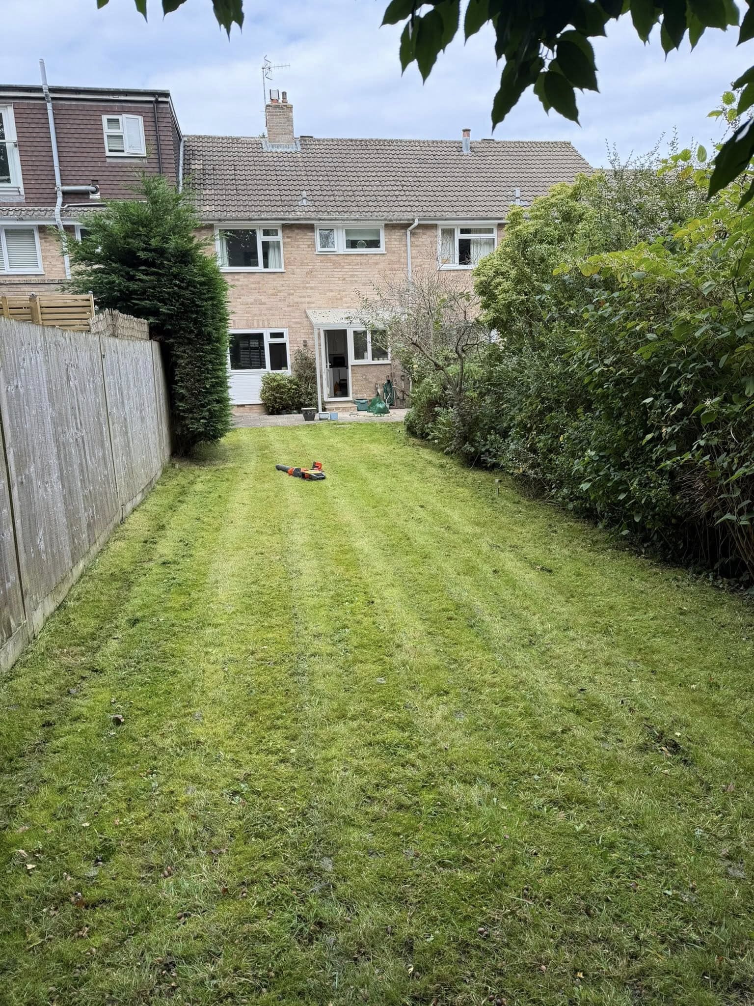 Landscaping transformation by Abound